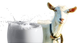 formulasi-01-susu-kambing