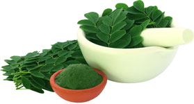 formulasi-02-moringa